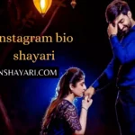 2 line shayari instagram, alone shayari instagram, attitude instagram shayari, attitude shayari in hindi instagram, attitude shayari instagram, best bio for instagram shayari page,