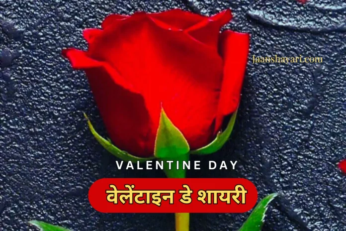 14 february shayari, happy valentine day hindi shayari, happy valentine’s day shayari in hindi, hindi shayari valentine day special, padhne wala shayari, valentine day ke liye shayari, valentine day love shayari, valentine day par shayari, valentine day shayari in hindi, valentine day special shayari in hindi, valentine de ki shayari, valentine shayari, valentine sms in